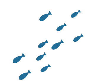 image-fish-group