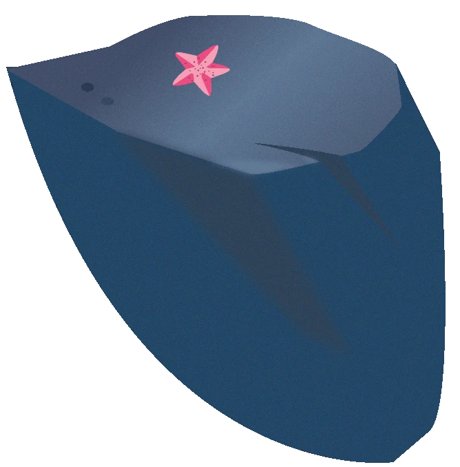 image-stingray