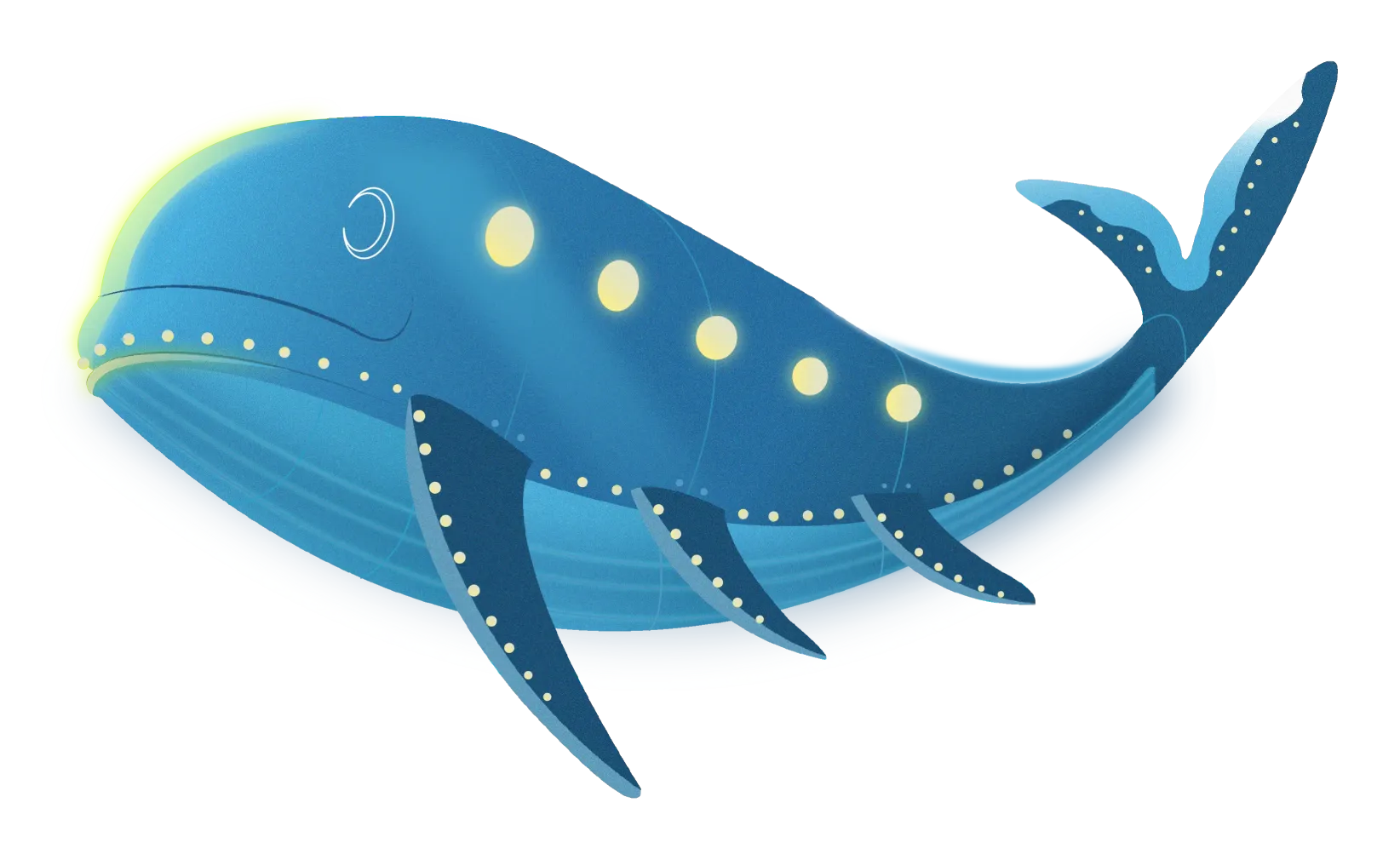 image-whale-6-ss